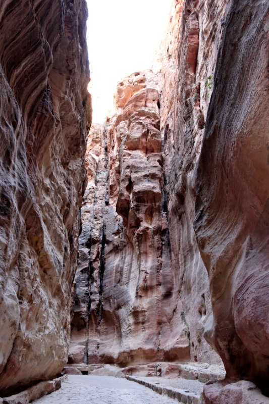 Canyon, Petra (Wadi Musa) Jordan 1.jpg